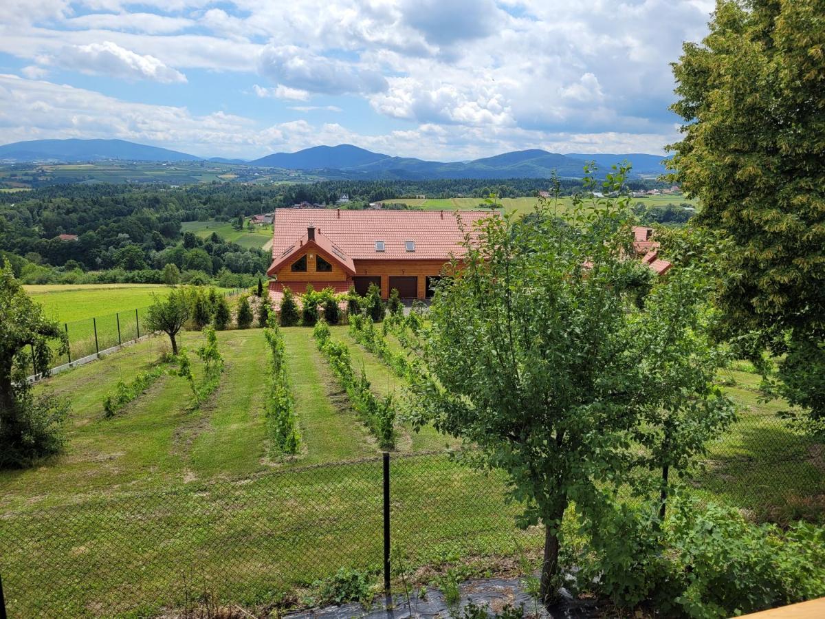 Fantastic View Vineyard Beskid Mountains Gruszow  Экстерьер фото