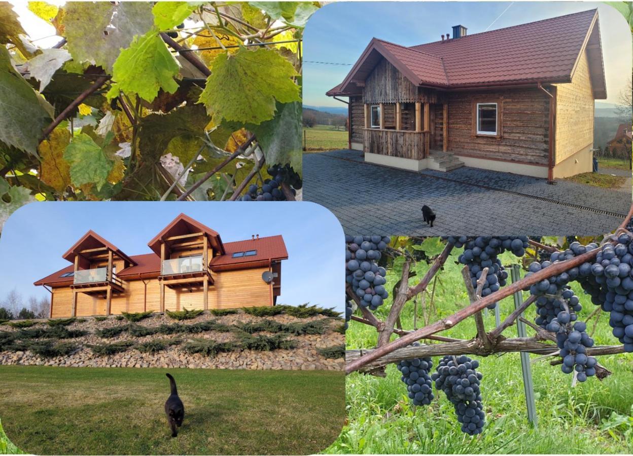 Fantastic View Vineyard Beskid Mountains Gruszow  Экстерьер фото