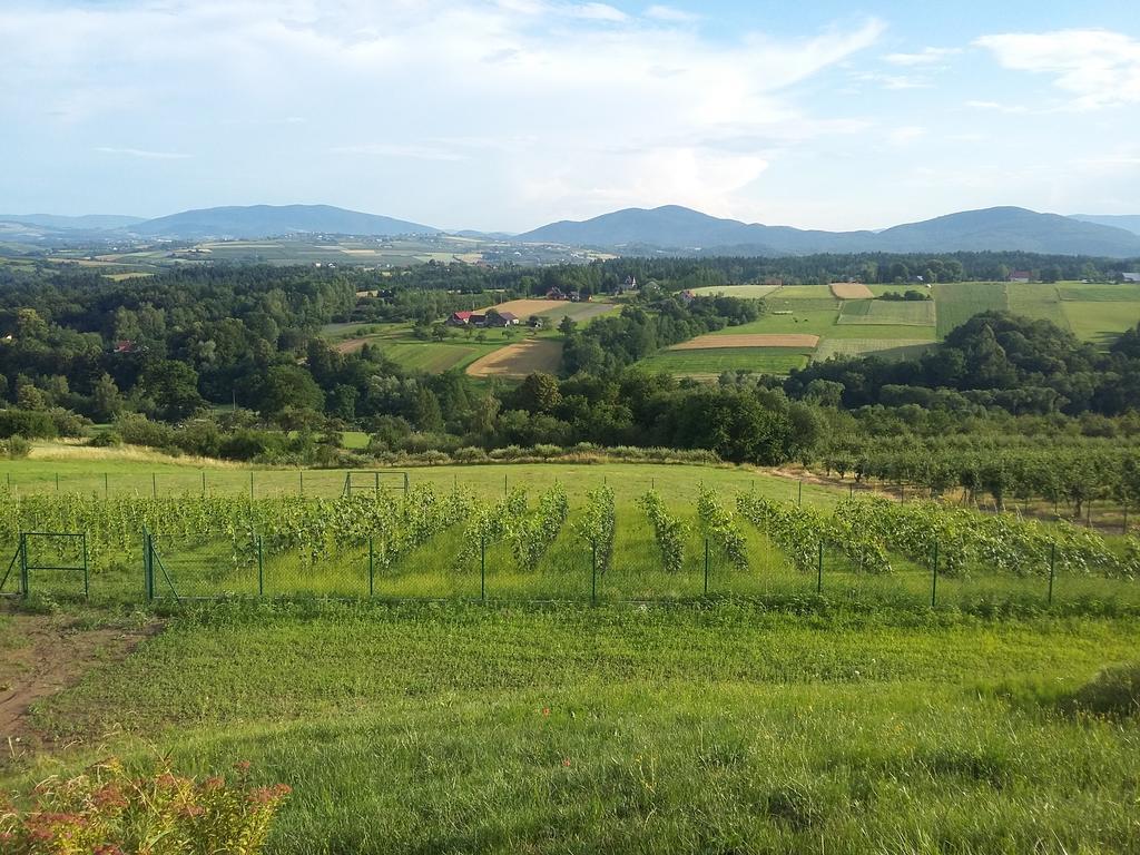 Fantastic View Vineyard Beskid Mountains Gruszow  Экстерьер фото